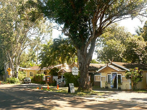 Vegan Restaurant on Maui’s Northshore