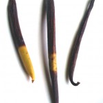 maui-hawaii-vanilla-beans