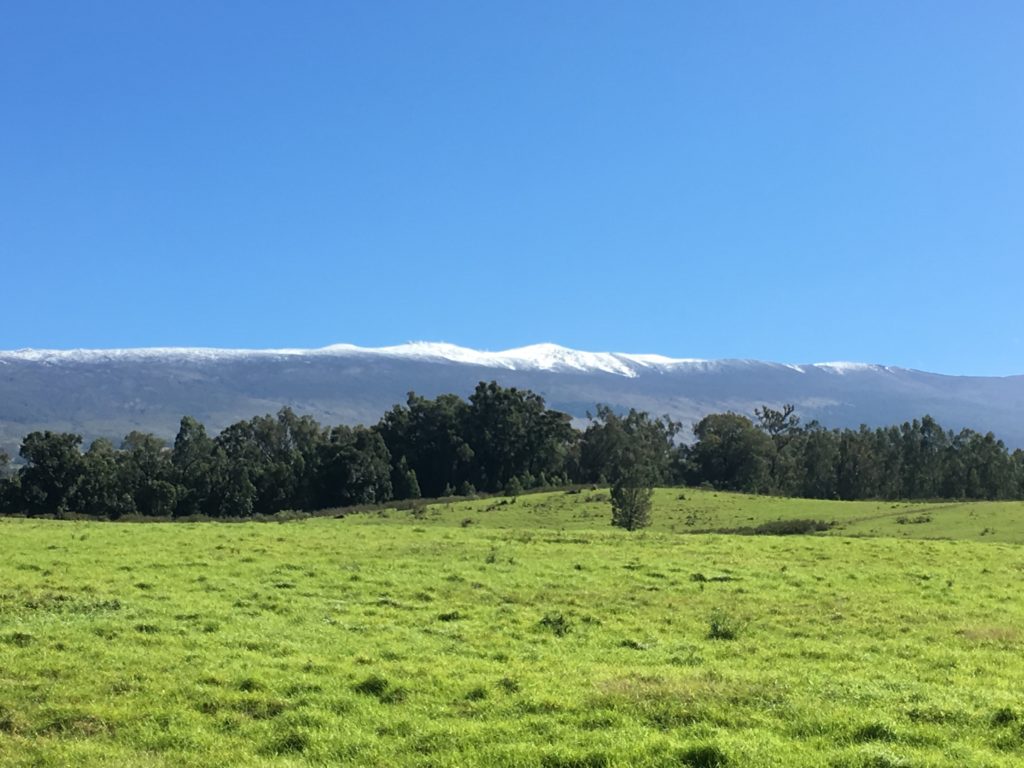 Hawaii Snow Sets Record, Falling at 6,200 Feet Maui Maui