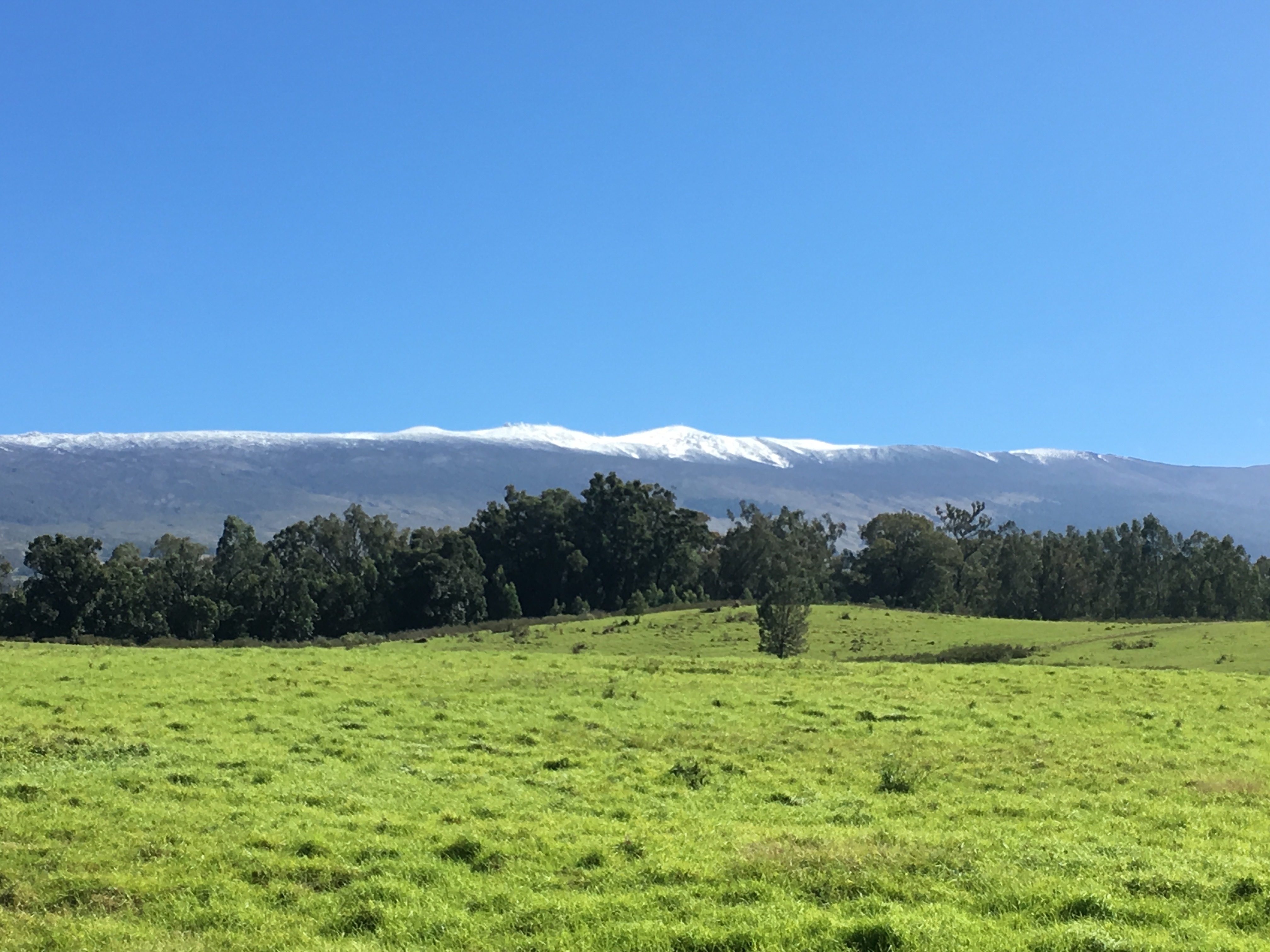 Hawaii Snow Sets Record, Falling at 6,200 Feet